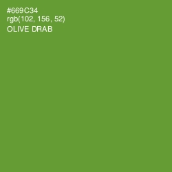 #669C34 - Olive Drab Color Image